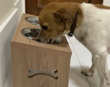 Comedouro e bebedouro para pets de porte pequeno com tigelas em inox